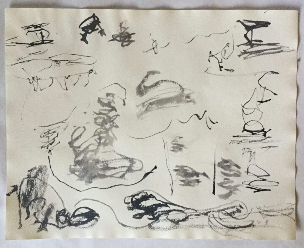 19″ x 24″ oak gall ink and sumi ink on paper 2016